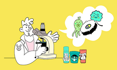 Science, K-beauty et âme méditerranéenne
