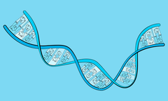 Tu es devenu ton père
